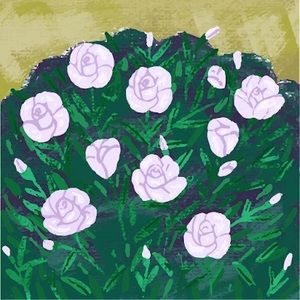 Meet your Posher, Sophie